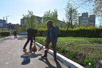 Day of environment
